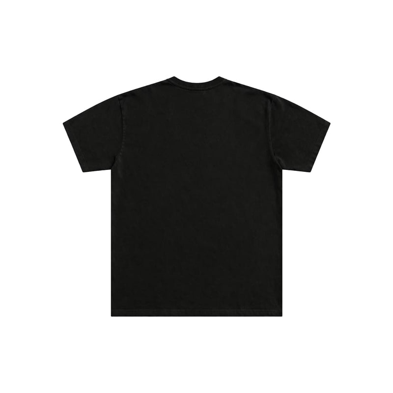 pny tee v2